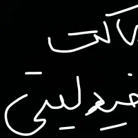 ماکت فیدلیتی (فیدیلیتی)