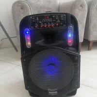 اسپیکر چمدانی بلوتوثی و شارژی 12اینچ