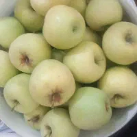 سیب پاییزه قرمز وسبز زرد درهم ۳۰ تومن صدرا|خوردنی و آشامیدنی|شیراز, گلستان|دیوار