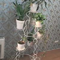 استند گل و گیاه