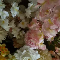 گلها همه مارک دارن نو هست