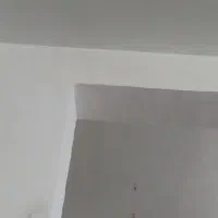 سفیدکاری و لکه گیری