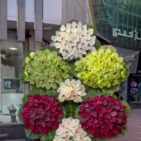 گل آرایی استندگل،تاج گل ترحیم و نمایشگاهی|گل و گیاه طبیعی|تهران, سازمان برنامه شمالی|دیوار