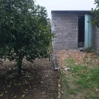 ۲۸۸ متر زمین مسکونی واقع در بهشهر روستای پاسند|فروش زمین و ملک کلنگی|بهشهر, |دیوار