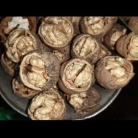 گردوی درجه یک کلات نادر|عمدهفروشی|مشهد, قائم|دیوار