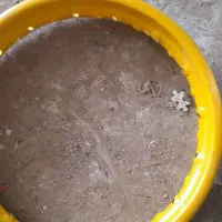 لوازم منزل|فرش|شاندیز, |دیوار