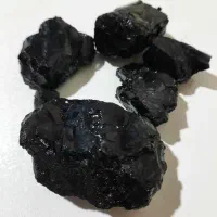 مومنایی گیاهی خوراکی|خوردنی و آشامیدنی|فولادشهر, B7|دیوار