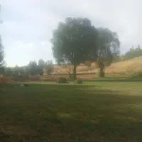 یونجه به شرط|لوازم جانبی حیوانات|کوهرنگ, |دیوار