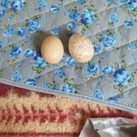 تخم مرغ نطفه داربوقلمو وتخم مرغ محلی|خوردنی و آشامیدنی|بجنورد, |دیوار