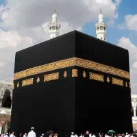 مشاوره انواع فیش حج