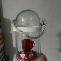 رز جاودان قرمز