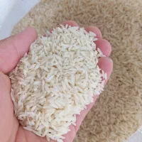 برنج هاشمی  و طارم  عطری و خوش پخت|خوردنی و آشامیدنی|حویق, |دیوار