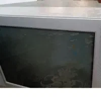 تلویزیون
