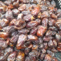 خرما|حراج|یاسوج, |دیوار