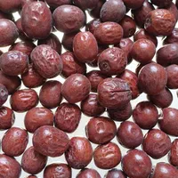 حبه عناب ممتاز و با کیفیت|خوردنی و آشامیدنی|شیراز, دانشگاه شیراز|دیوار