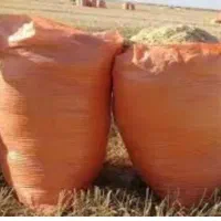 خار بدون چوب