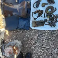 زین اسب|اسب و تجهیزات اسب‌سواری|هریس, |دیوار