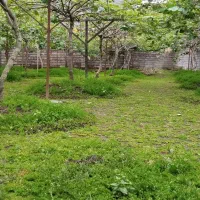 زمین مسکونی مساحت ۲۵۰متر شهر اسالم روستا لمرسفلی