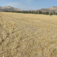 فروش  زمین  ۹۵۰۰ متری در صالح آباد  درجای خوب|فروش دفتر صنعتی، کشاورزی، تجاری|صالح آباد (ایلام), |دیوار