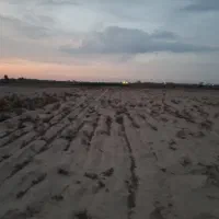 فروش زمین کشاورزی|فروش دفتر صنعتی، کشاورزی، تجاری|جوادآباد, |دیوار