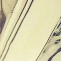 صفحه سه تار و تنبور|سازهای سنتی|تهران, کن|دیوار