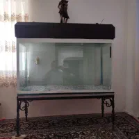 فروش اکواریویم