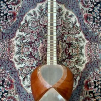 تار دو مهر استاد رضوی