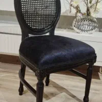 صندلی abs حصیر/تالار/باغ تالار/رستوران