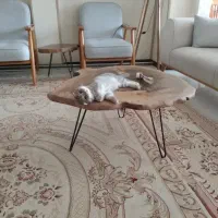 خونه ۱خواب اجاره روزانه