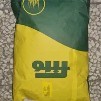 بذر چمن مناسب برای زمین فوتبال و فضای سبز|گل و گیاه طبیعی|تهران, شهرک صدرا|دیوار