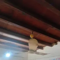 پنکه