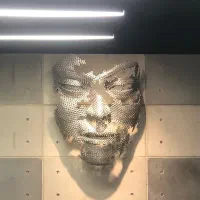 مجسمه صورت(فیس)