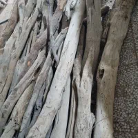 چوب هیزم|خدمات باغبانی و درختکاری|زابل, |دیوار