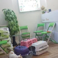 آگهی استخدام منشی کلینیک دامپزشکی حیوانات در منطقه ۱ در یک ربع پیش در تهران از شرکت <h2>PHP Error [8192]</h2><b>Message:</b> htmlspecialchars(): Passing null to parameter #1 ($string) of type string is deprecated<br><b>File:</b> /var/www/scraper/ads/src/View/partials/home-content.php<br><b>Line:</b> 64<br><hr><br />
<b>Deprecated</b>:  htmlspecialchars(): Passing null to parameter #1 ($string) of type string is deprecated in <b>/var/www/scraper/ads/src/View/partials/home-content.php</b> on line <b>64</b><br />

