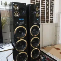 باند خونگی دو قلو