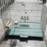 قفس پرنده|لوازم جانبی حیوانات|کرمانشاه, |دیوار