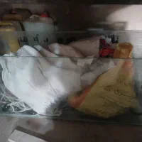 آکواریوم فروشی