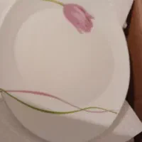 آرکوپال ۲۶پارچه فرانسه آکبند|ظروف سرو و پذیرایی|تهران, ولنجک|دیوار