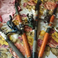 لنسر ماهیگیری