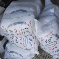 برنج فجر گرگان عرضه مستقیم