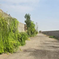 باغ و باغچه ۲۰۰و ۴۰۰متر دیوار کل بامجوز