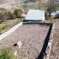 فروش زمین کوه دونبش در دل کوه شیخ موسی انیجدان|فروش زمین و ملک کلنگی|گلوگاه بابل (گلیا), |دیوار