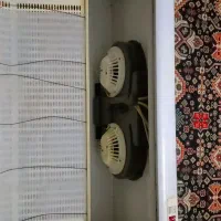 هود کتابی مارک کن|هود|گرگان, |دیوار