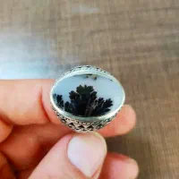 انگشتر شجر کلکسیونی