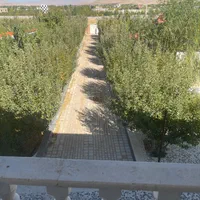 اجاره روزانه/هفتگی/ماهانه ویلا ۳۰۰ متری|اجارهٔ کوتاه‌مدت ویلا و باغ|سپیدان, |دیوار