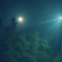 تدریس خصوصی و‌ گروهی پایه دوم ابتدایی