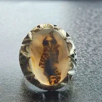 انگشتر نقره دستساز و سنگ شجر قائنات