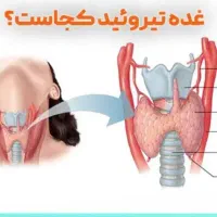 کار در منرل با اموزش طب سنتی رایگان در منزل