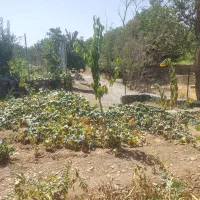 باغچه-کرمجگان