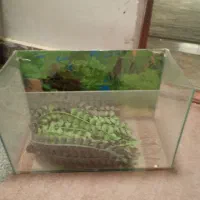 اکواریوم طول50عرض30 شیشه 4میل